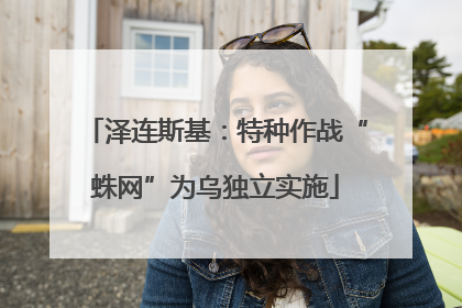 泽连斯基：特种作战“蛛网”为乌独立实施