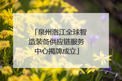 泉州洛江全球智造装备供应链服务中心揭牌成立