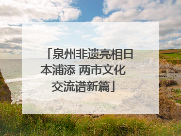 泉州非遗亮相日本浦添 两市文化交流谱新篇