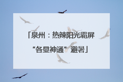 泉州：热辣阳光霸屏 “各显神通”避暑