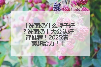 洗面奶什么牌子好？洗面奶十大公认好评推荐！2025清爽超给力！