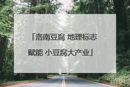 洛南豆腐 地理标志赋能 小豆腐大产业