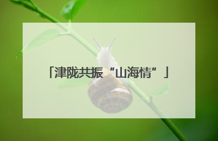 津陇共振“山海情”