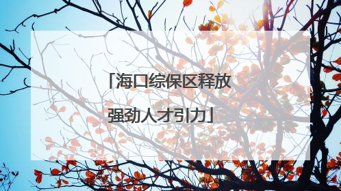 海口综保区释放强劲人才引力