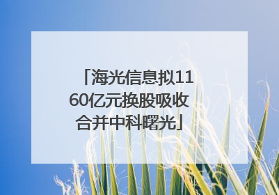 海光信息拟1160亿元换股吸收合并中科曙光