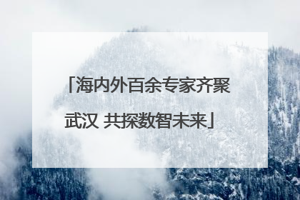 海内外百余专家齐聚武汉 共探数智未来