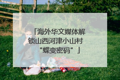 海外华文媒体解锁山西河津小山村“蝶变密码”