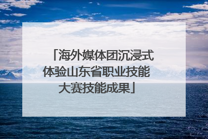 海外媒体团沉浸式体验山东省职业技能大赛技能成果