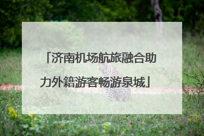济南机场航旅融合助力外籍游客畅游泉城