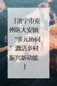 济宁市兖州区大安镇“多元协同”激活乡村振兴新动能