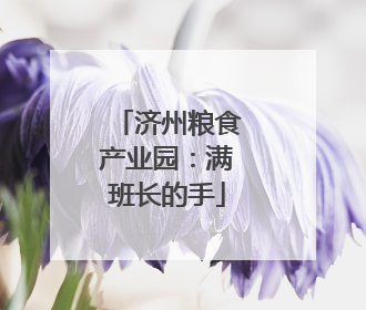 济州粮食产业园：满班长的手