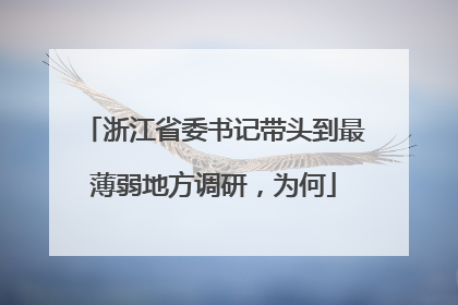 浙江省委书记带头到最薄弱地方调研，为何