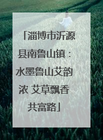 淄博市沂源县南鲁山镇：水墨鲁山艾韵浓 艾草飘香共富路