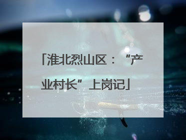 淮北烈山区：“产业村长”上岗记