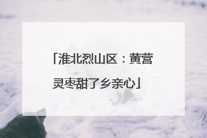 淮北烈山区：黄营灵枣甜了乡亲心