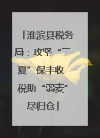 淮滨县税务局：攻坚“三夏”保丰收 税助“弱麦”尽归仓