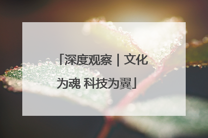 深度观察｜文化为魂 科技为翼