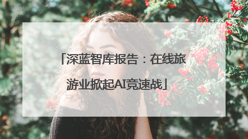 深蓝智库报告：在线旅游业掀起AI竞速战