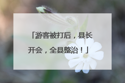 游客被打后，县长开会，全县整治！