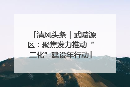 清风头条｜武陵源区：聚焦发力推动“三化”建设年行动