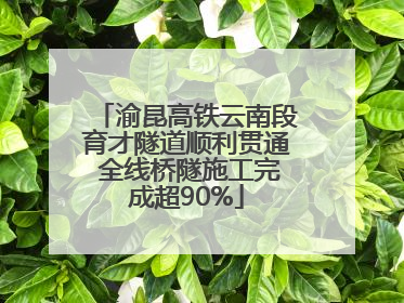 渝昆高铁云南段育才隧道顺利贯通 全线桥隧施工完成超90%