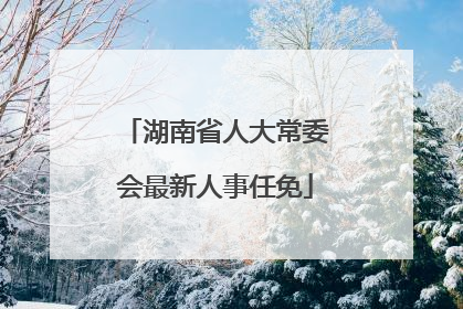 湖南省人大常委会最新人事任免