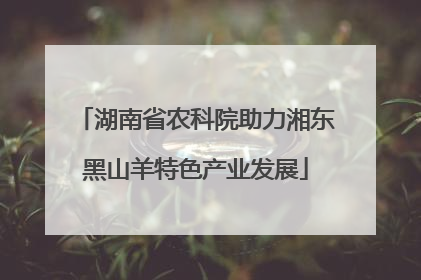 湖南省农科院助力湘东黑山羊特色产业发展