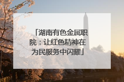 湖南有色金属职院：让红色精神在为民服务中闪耀