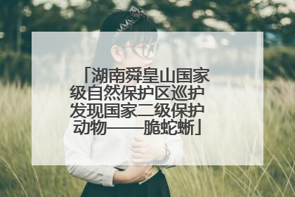 湖南舜皇山国家级自然保护区巡护发现国家二级保护动物——脆蛇蜥