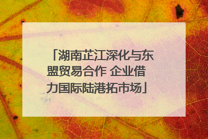 湖南芷江深化与东盟贸易合作 企业借力国际陆港拓市场