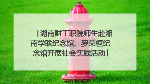 湖南财工职院师生赴湘南学联纪念馆、罗荣桓纪念馆开展社会实践活动