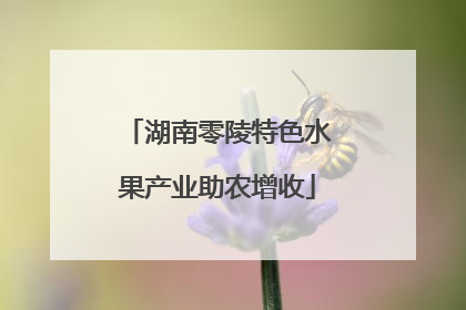 湖南零陵特色水果产业助农增收