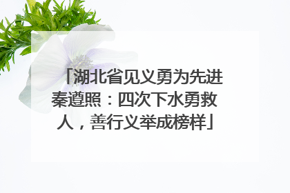 湖北省见义勇为先进秦遵照：四次下水勇救人，善行义举成榜样