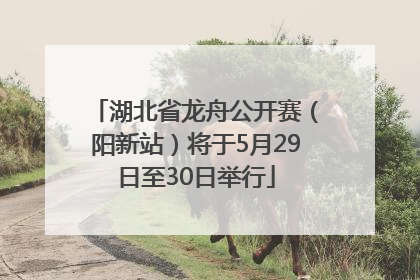 湖北省龙舟公开赛（阳新站）将于5月29日至30日举行