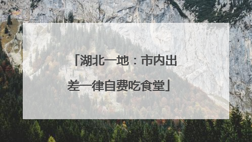 湖北一地：市内出差一律自费吃食堂