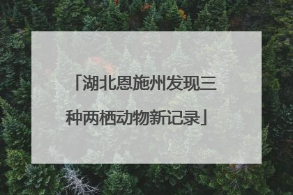 湖北恩施州发现三种两栖动物新记录