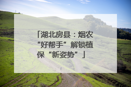 湖北房县：烟农“好帮手”解锁植保“新姿势”