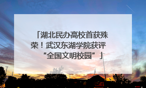 湖北民办高校首获殊荣！武汉东湖学院获评“全国文明校园”