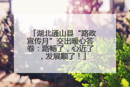 湖北通山县“路政宣传月”交出暖心答卷：路畅了，心近了，发展顺了！