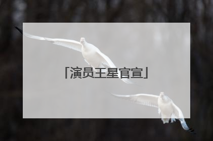 演员王星官宣