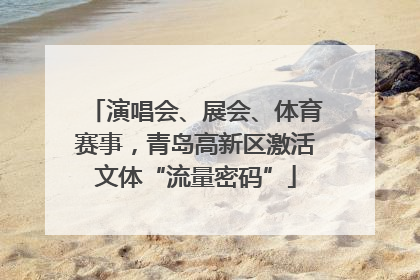 演唱会、展会、体育赛事，青岛高新区激活文体“流量密码”