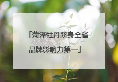 菏泽牡丹跻身全省品牌影响力第一