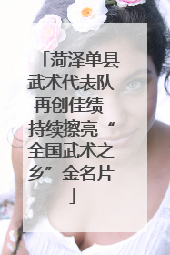 菏泽单县武术代表队再创佳绩 持续擦亮“全国武术之乡”金名片