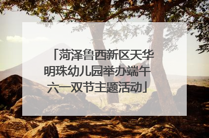 菏泽鲁西新区天华明珠幼儿园举办端午六一双节主题活动