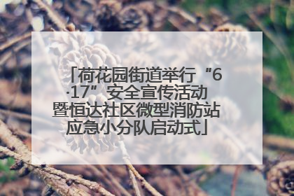 荷花园街道举行“6·17”安全宣传活动暨恒达社区微型消防站应急小分队启动式