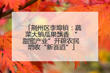 荆州区李埠镇：蔬菜大镇瓜果飘香 “甜蜜产业”开辟农民增收“新赛道”