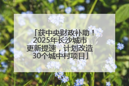 获中央财政补助！2025年长沙城市更新提速，计划改造30个城中村项目