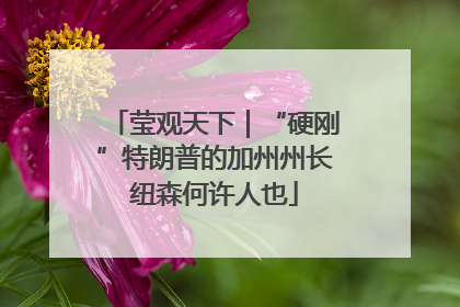 莹观天下｜“硬刚”特朗普的加州州长纽森何许人也
