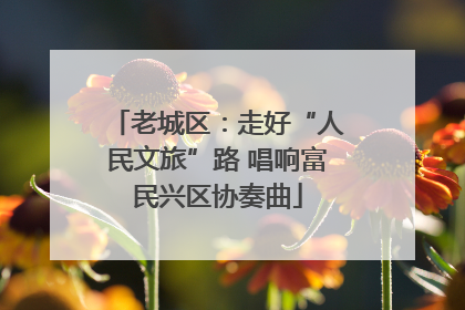 老城区：走好“人民文旅”路 唱响富民兴区协奏曲