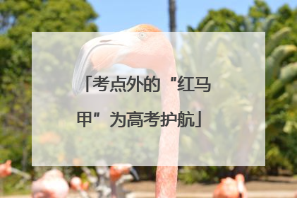 考点外的“红马甲”为高考护航
